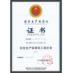 安全生產(chǎn)標(biāo)準(zhǔn)化證書